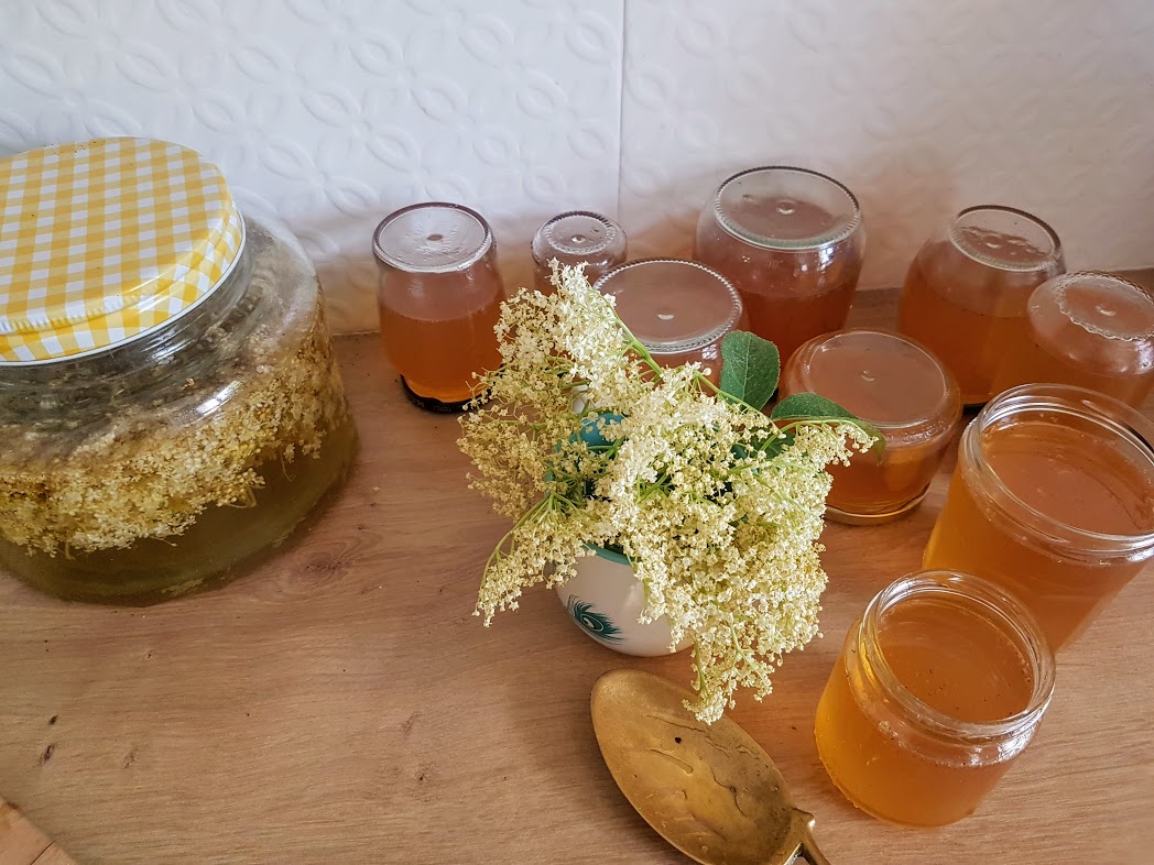 Gelée de fleurs de sureau à l'ancienne - Ça a Leyre bon