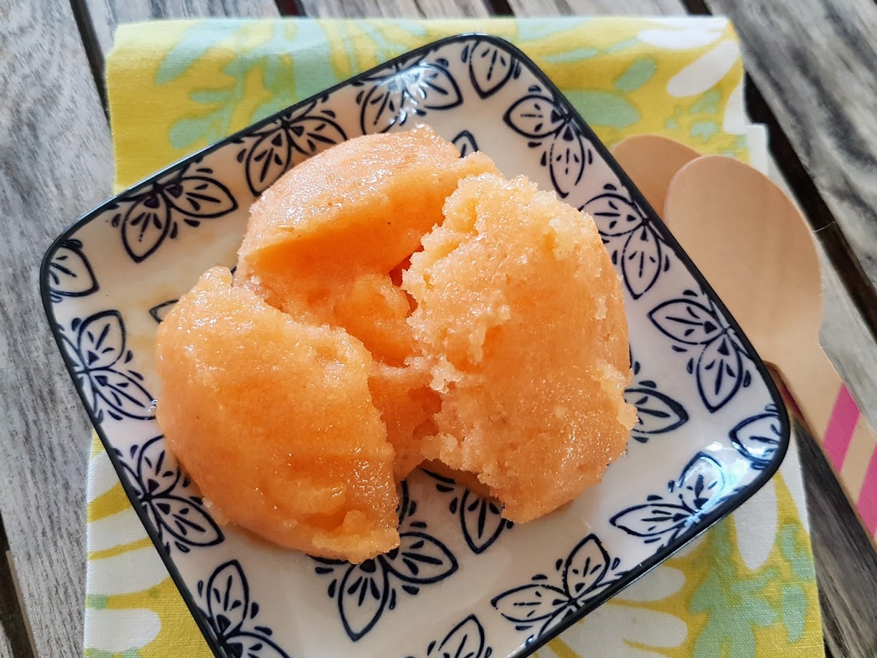 Sorbet au melon sans sorbetière Ça a Leyre bon