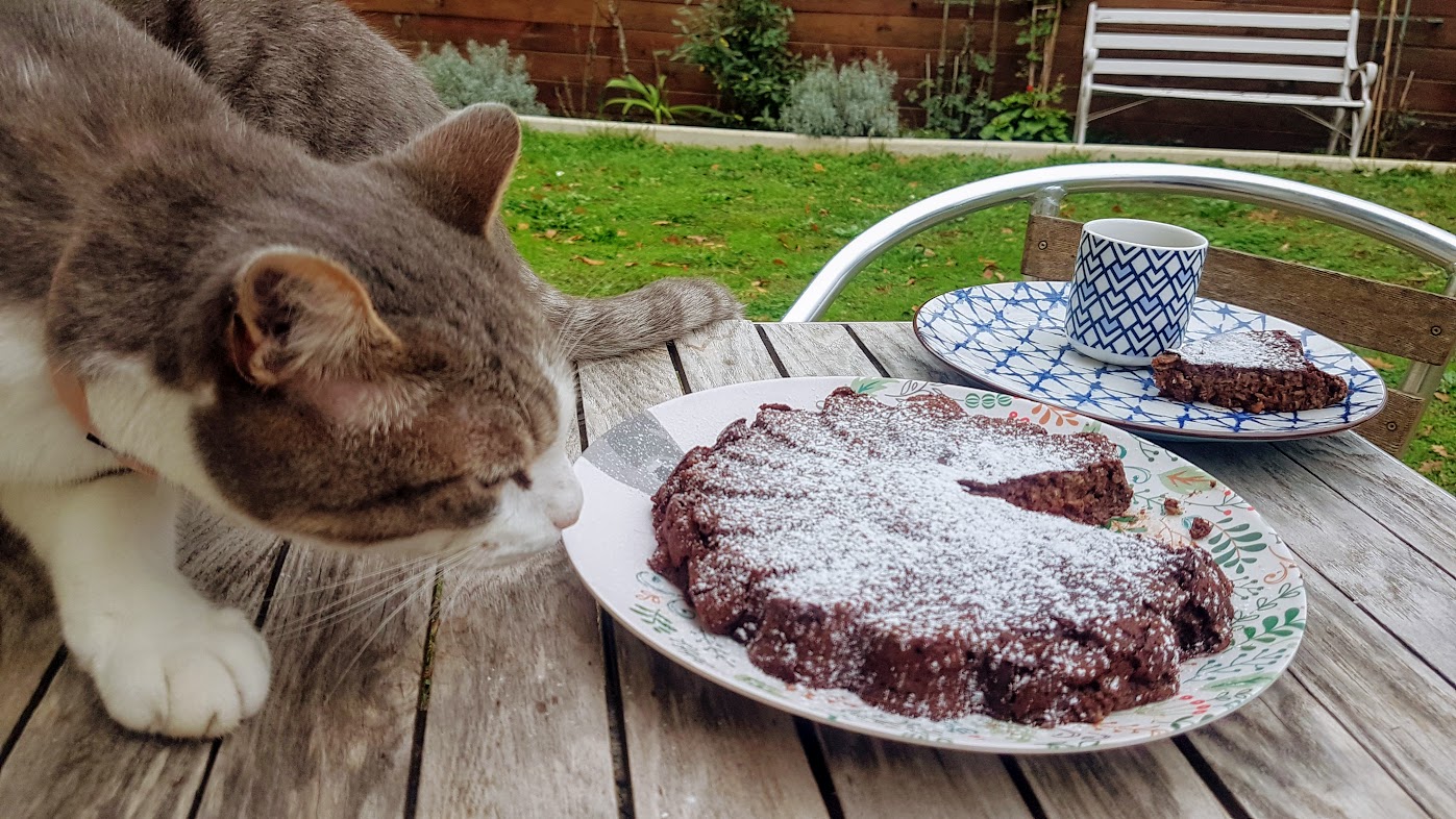 Gateau Au Chocolat Sans Gluten A 50 Calories La Part Ca A Leyre Bon Gateau Au Chocolat Sans Gluten A 50 Calories La Part Ca A Leyre Bon