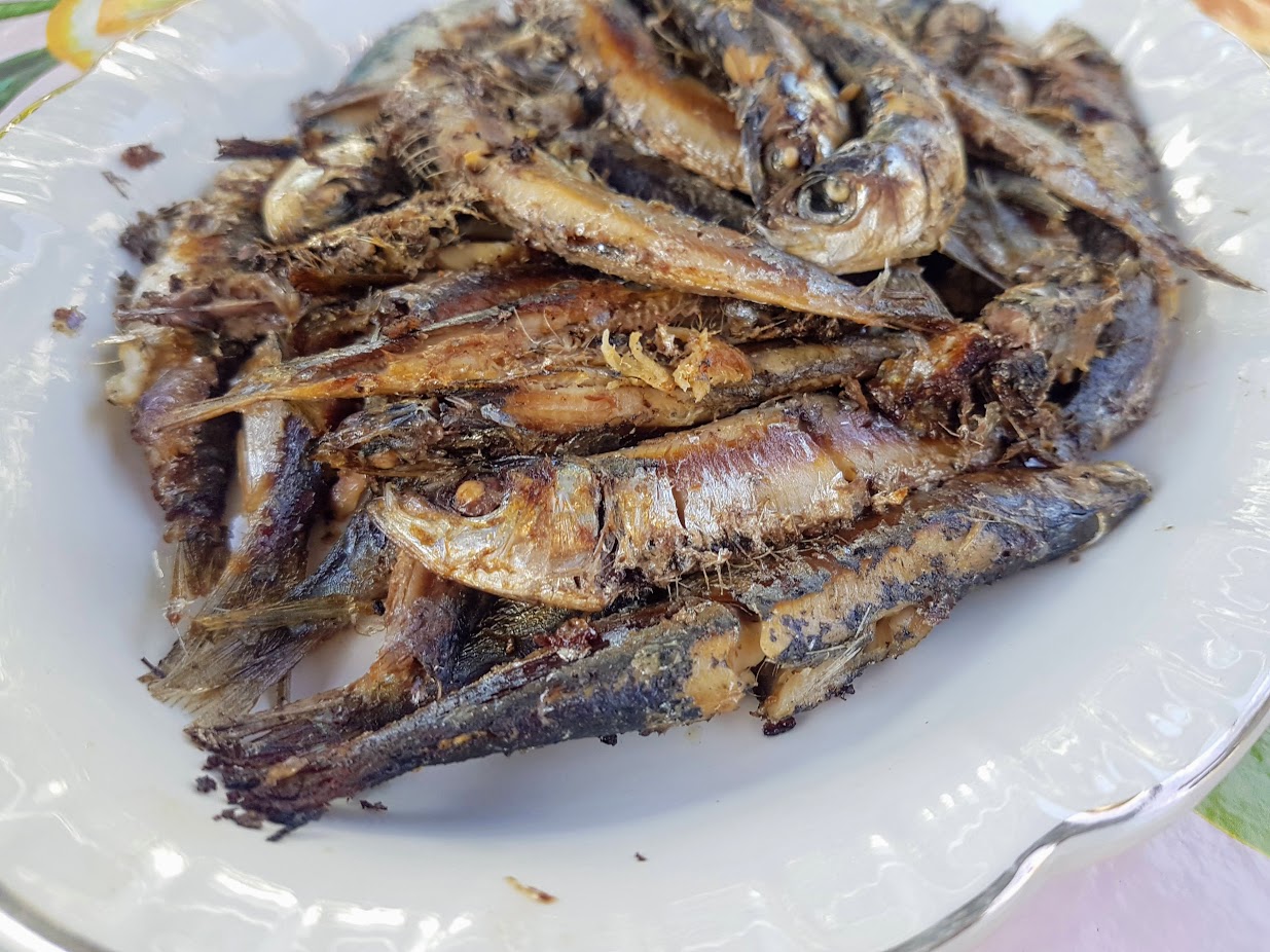 Sardines à la portugaise au sel - Ça a Leyre bon