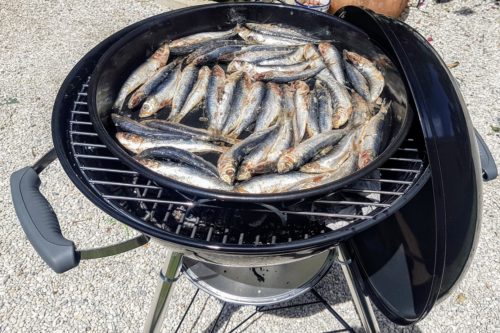 Sardines portugaises, Cuisinez