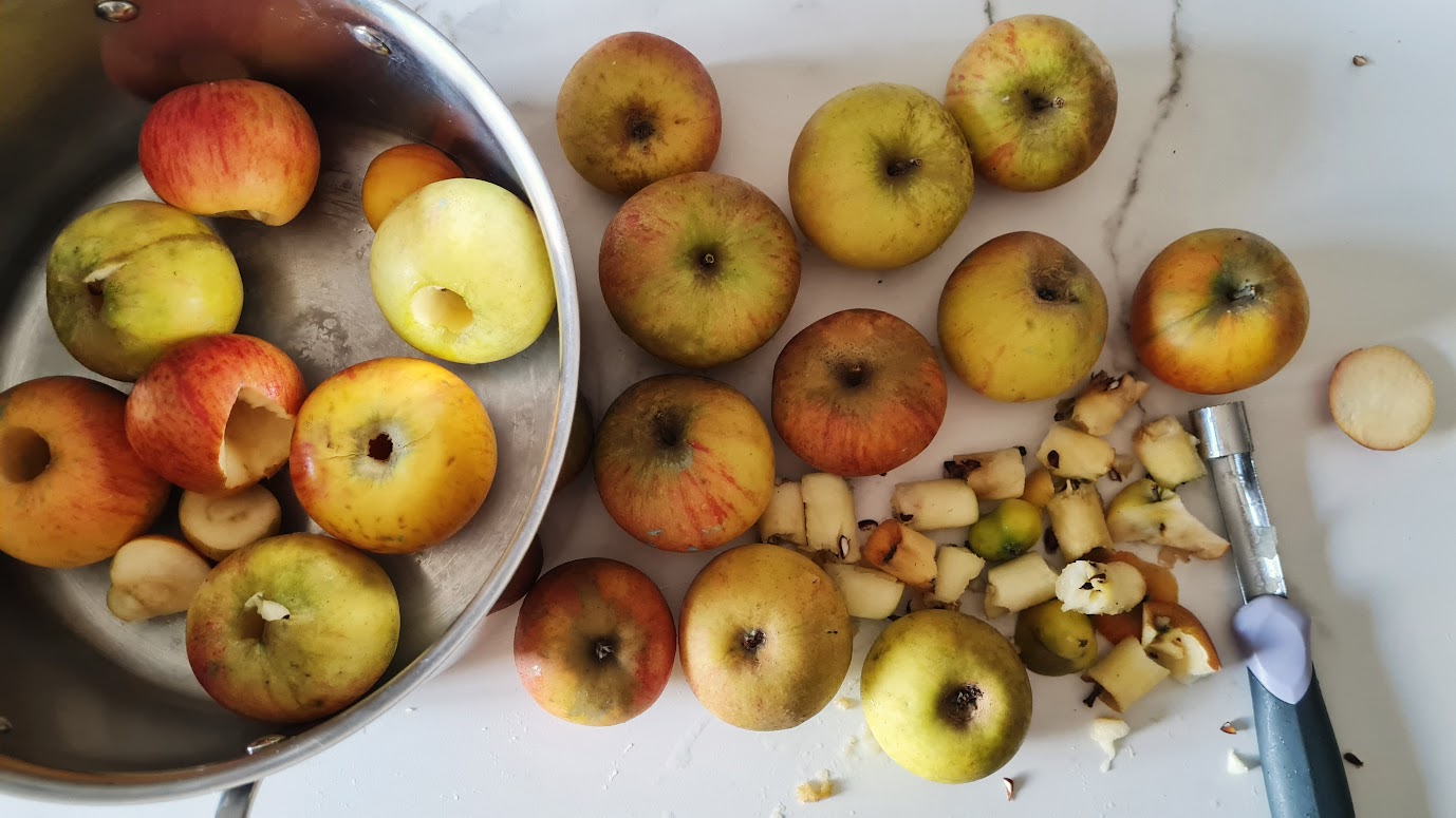 Compote pommes fraises, stérilisation - Ça a Leyre bon