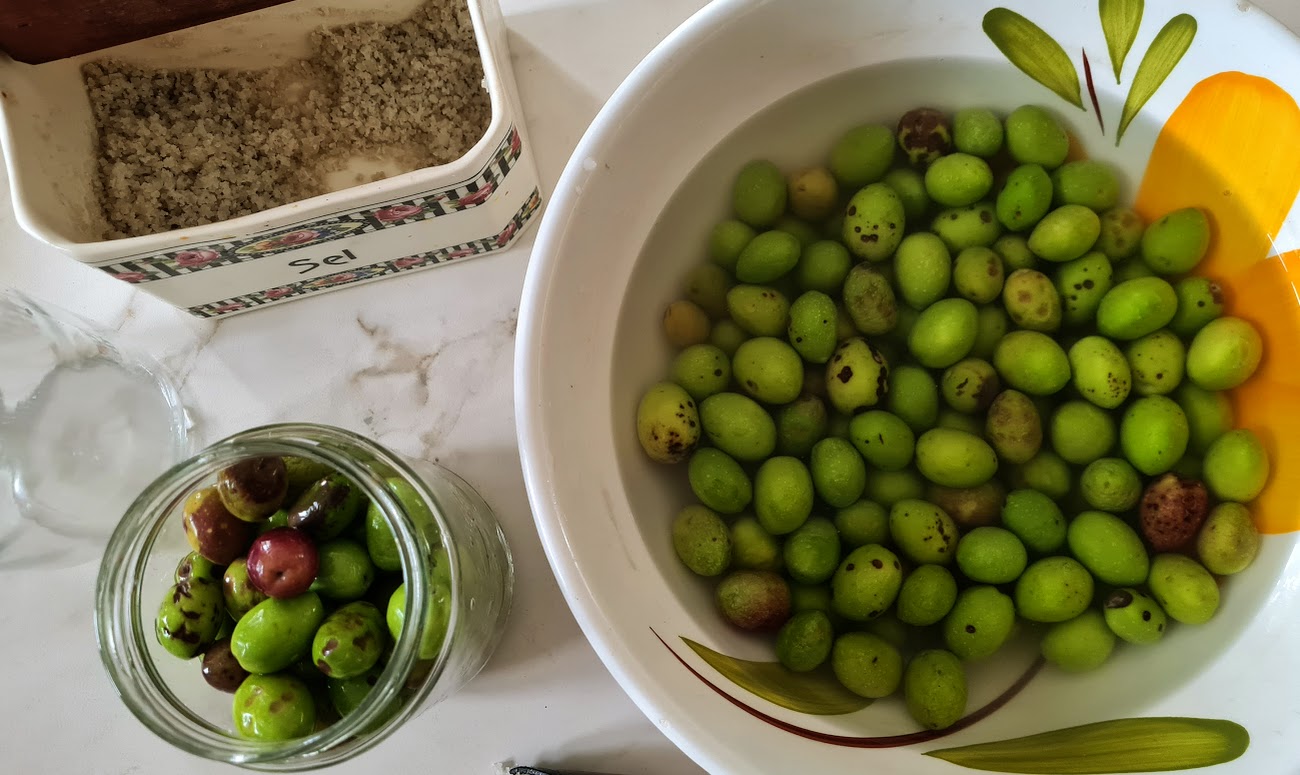 Recette olives vertes en saumure - Ça a Leyre bon